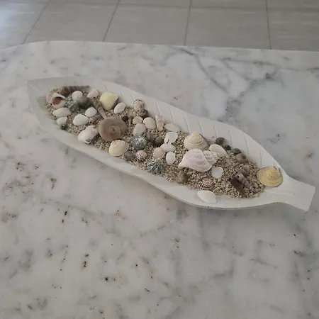 Apartament Angela's House Zadar